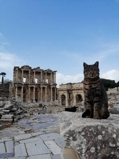 IS EPHESUS GREEK OR ROMAN CITY?